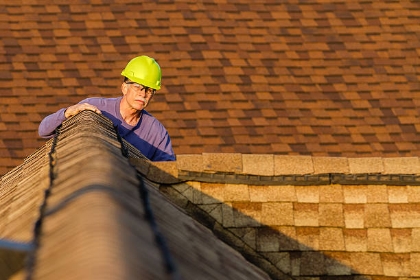 Best New Roof Installation  in Eagar, AZ